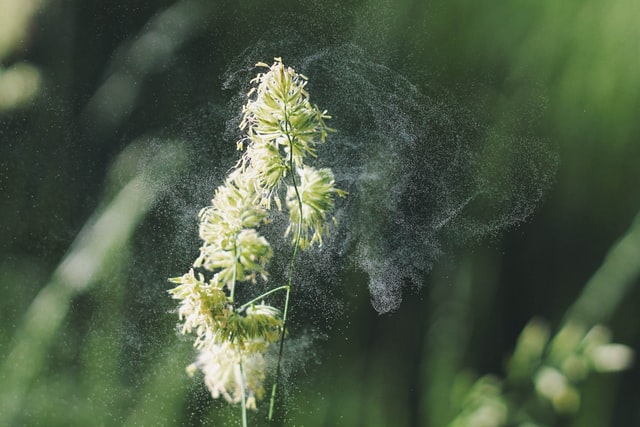 Allergies Treatment in Weatherford, TX